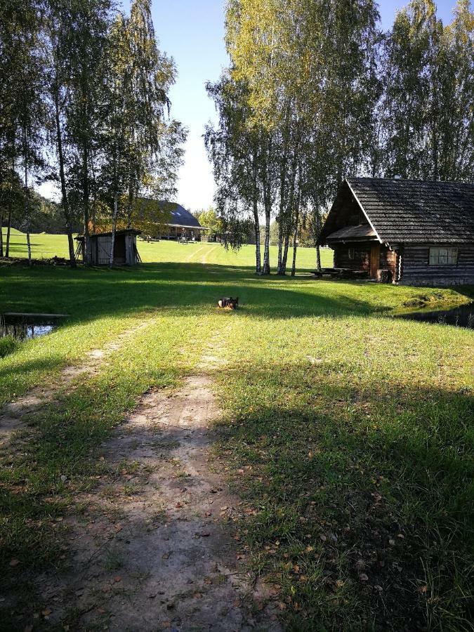 Sodyba Vieversyne Duokiskis Dış mekan fotoğraf